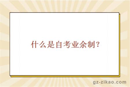 什么是自考业余制？