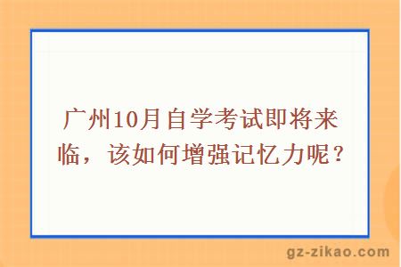 广州10月自学考试即将来临，该如何增强记忆力呢？