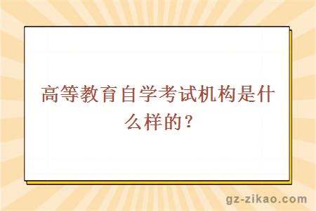 高等教育自学考试机构是什么样的？