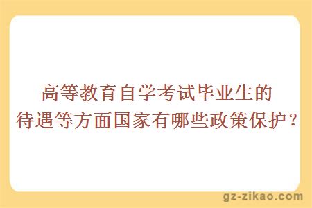 高等教育自学考试毕业生的待遇等方面国家有哪些政策保护?