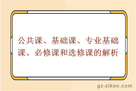 公共课、基础课、专业基础课、必修课和选修课的解析