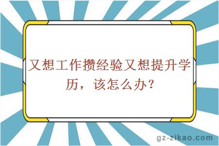 又想工作攒经验又想提升学历，该怎么办？