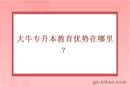 大牛专升本教育优势在哪里？