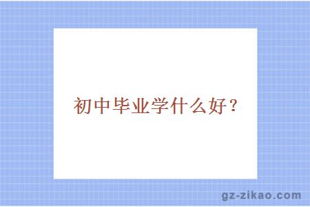 初中毕业学什么好？