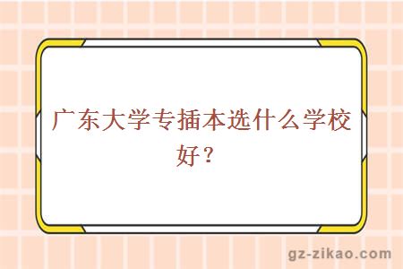 广东大学专插本选什么学校好？