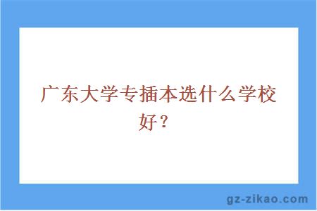 广东大学专插本选什么学校好？