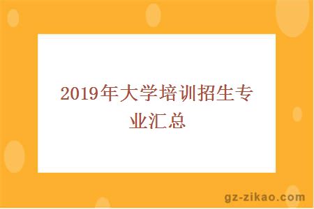 2019年大学培训招生专业汇总