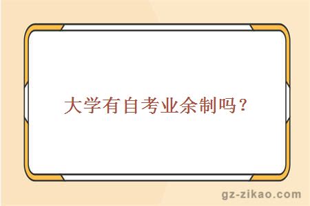 大学有自考业余制吗？