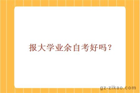 报大学业余自考好吗？