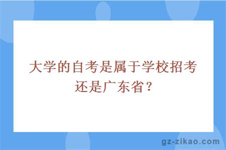 大学的自考是属于学校招考还是广东省？