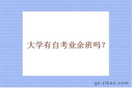 大学有自考业余班吗？