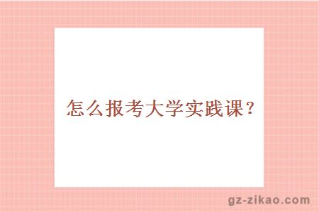 怎么报考大学实践课？