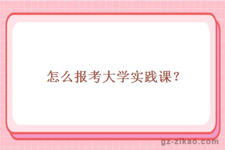 怎么报考大学实践课？