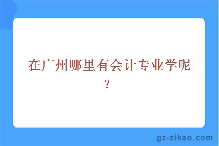 在广州哪里有会计专业学呢？