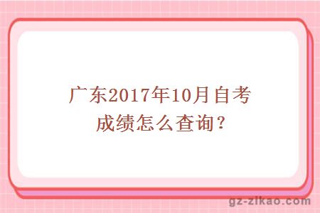 广东2017年10月自考成绩怎么查询？