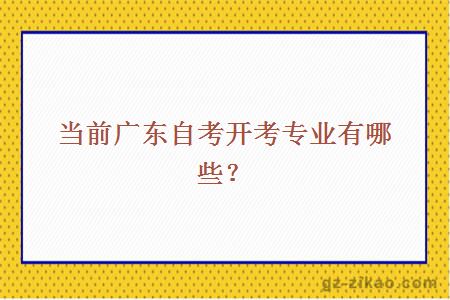 当前广东自考开考专业有哪些？