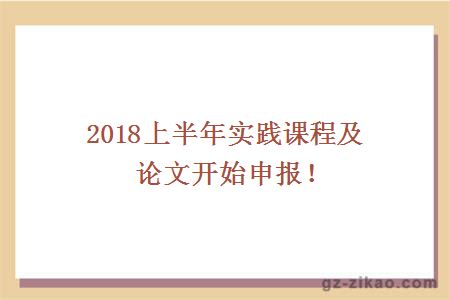 2018实践课程及论文申报