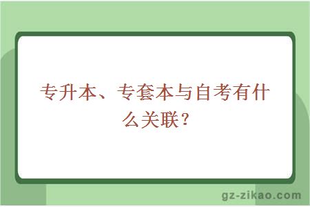 专升本、专套本与自考关联