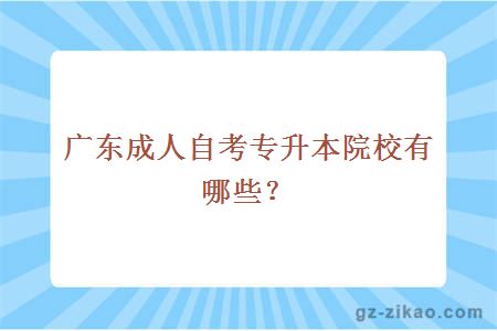 广东成人自考专升本院校