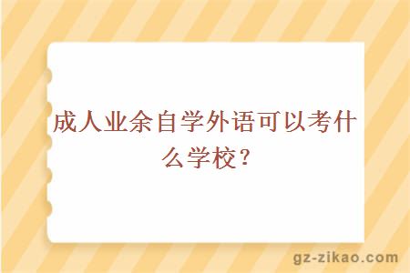 成人业余学习外语可考什么学校