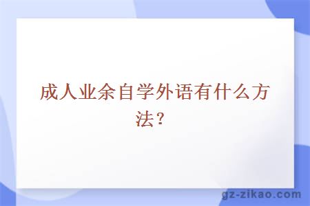 成人业余自学外语