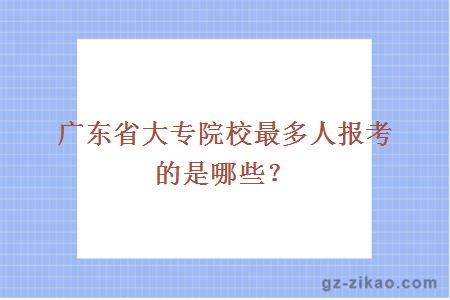 广东省大专院校最多人报考的是哪些？