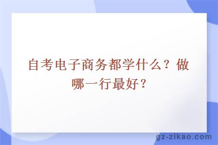 自考电子商务都学什么？做哪一行最好？