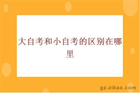 大自考和小自考的区别在哪里