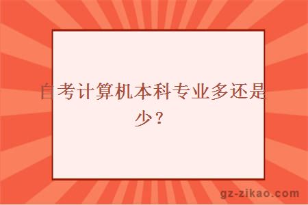 自考计算机本科专业多还是少？