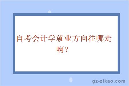 自考会计学就业方向往哪走啊？