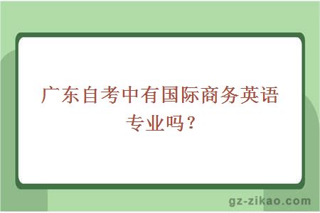 广东自考中有国际商务英语专业吗？