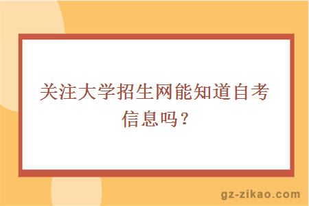 关注大学招生网能知道自考信息吗？