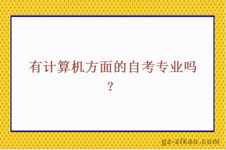 有计算机方面的自考专业吗？