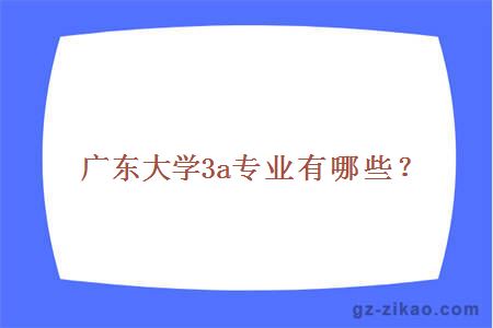 广东大学3a专业有哪些？