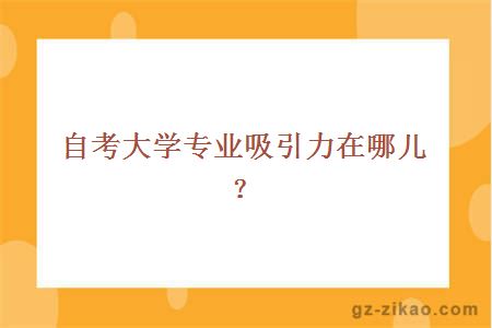 自考大学专业吸引力在哪儿？