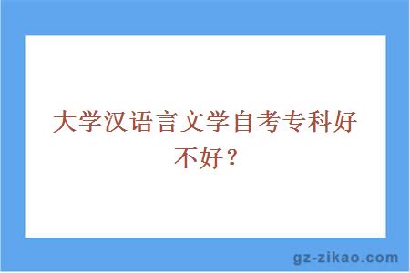 大学汉语言文学自考专科好不好？