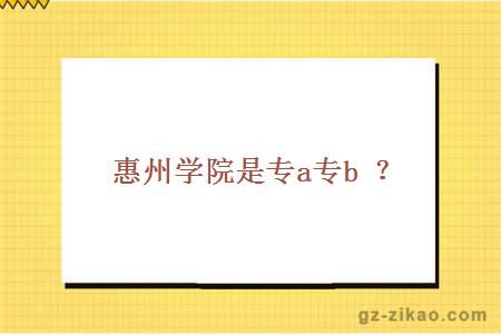惠州学院是专a专b？