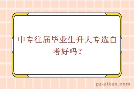 中专往届毕业生升大专选自考好吗？