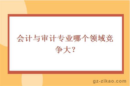 会计与审计专业哪个领域竞争大？