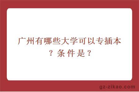 广州有哪些大学可以专插本？条件是？