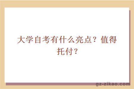 大学自考有什么亮点？值得托付？