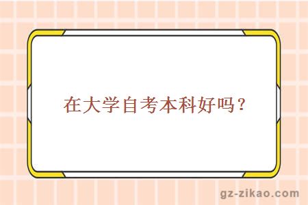 在大学自考本科好吗？