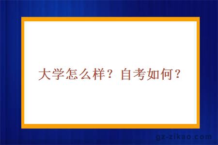 大学怎么样？自考如何？