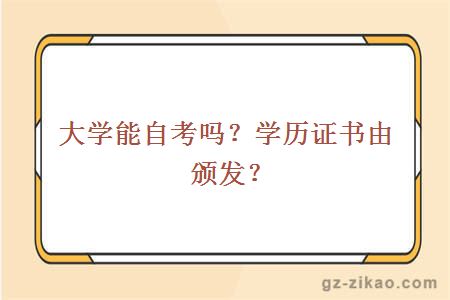 大学能自考吗？学历证书由颁发？