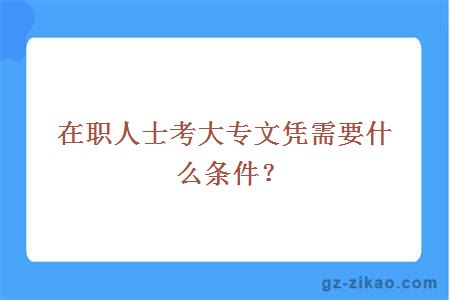 在职人士考大专文凭需要什么条件