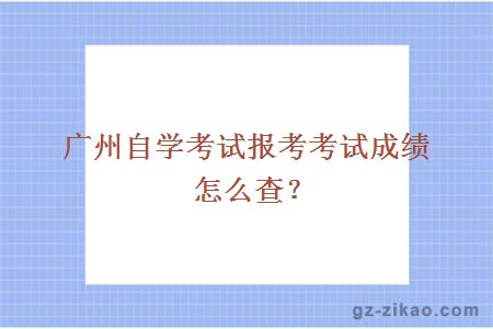 广州自学考试考考试成绩怎么查？