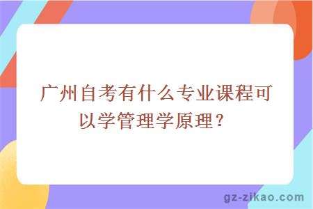 广州自考有什么专业课程可以学管理学原理