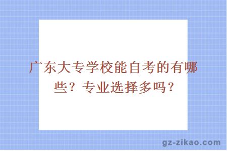 广东大专学校能自考的有哪些？专业选择多吗？