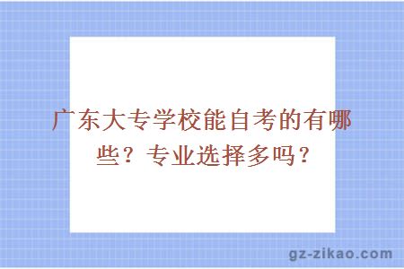 广东大专学校能自考的有哪些