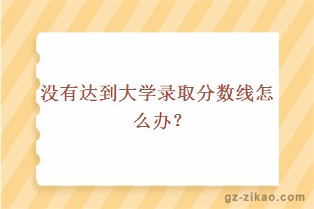 没有达到录取分数线怎么办